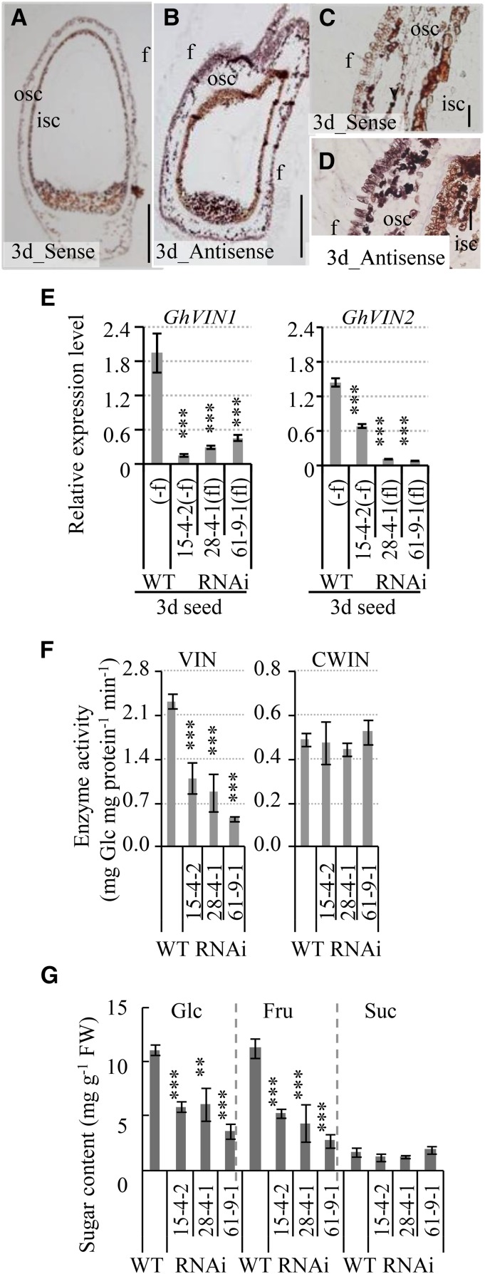 Figure 9.