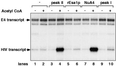 FIG. 5