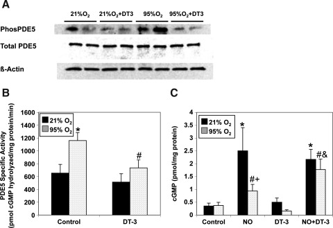 FIG. 8.