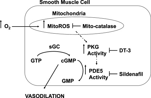 FIG. 10.