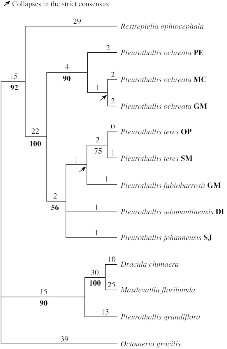 graphic file with name mcf168f7.jpg