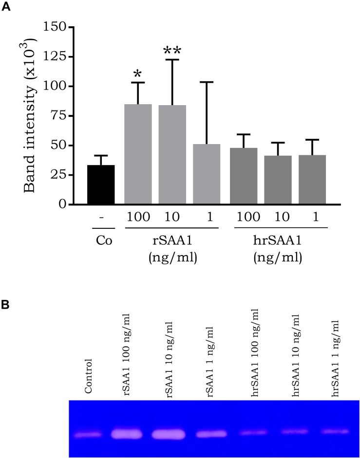 FIGURE 4