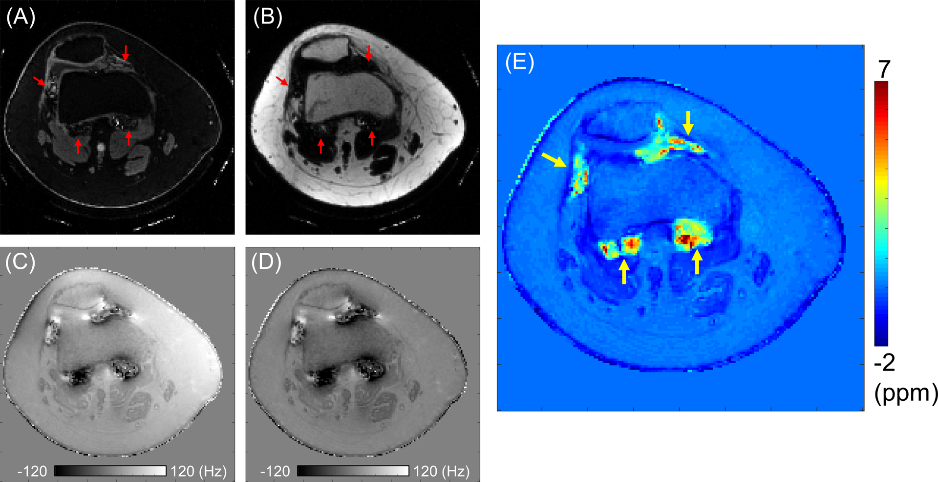 Figure 4.