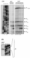 FIG. 7.