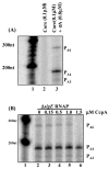 FIG. 8.
