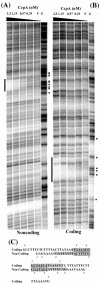 FIG. 4.