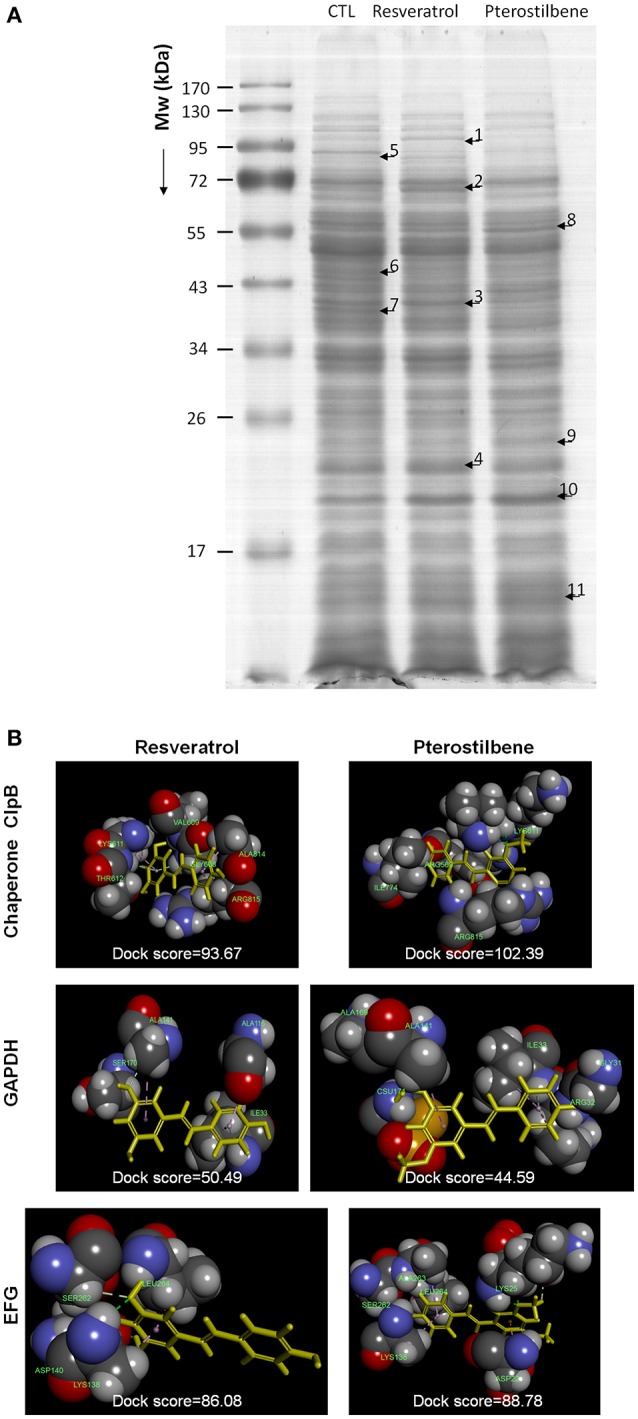 Figure 7