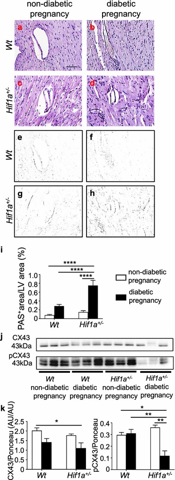 Fig. 6