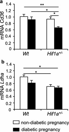 Fig. 7