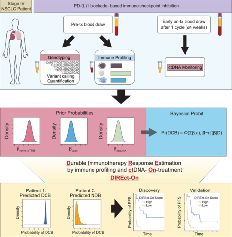 graphic file with name nihms-1634456-f0001.jpg