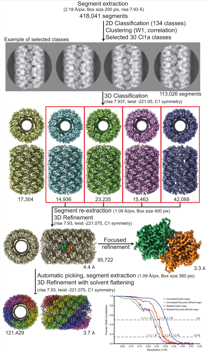 Figure 2—figure supplement 1.