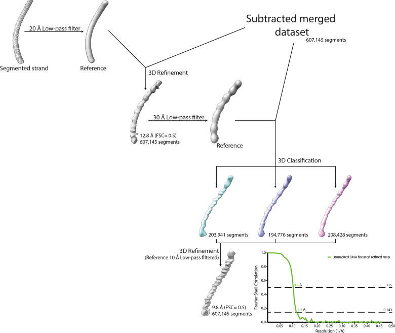 Figure 3—figure supplement 2.