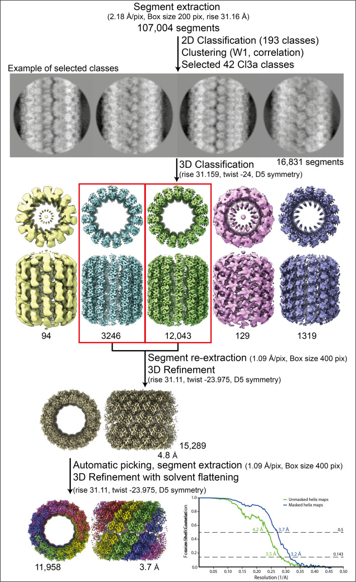 Figure 2—figure supplement 2.