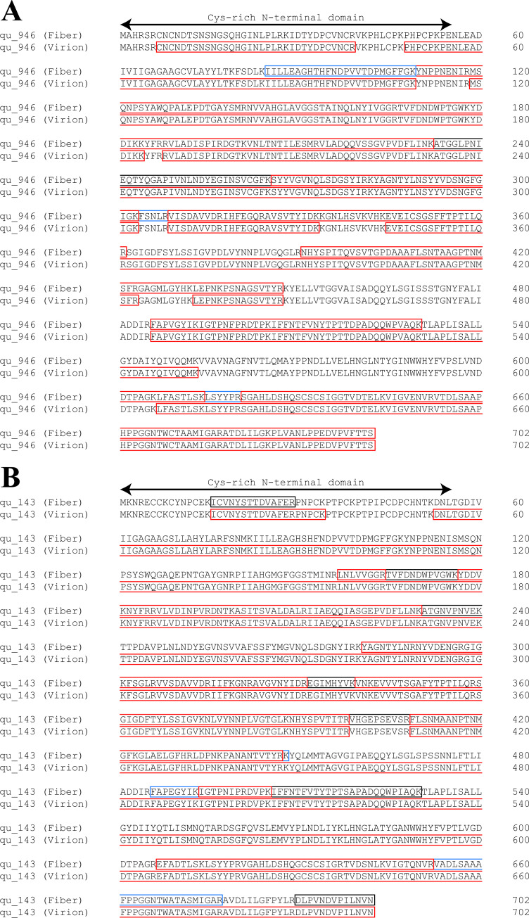 Figure 2—figure supplement 4.