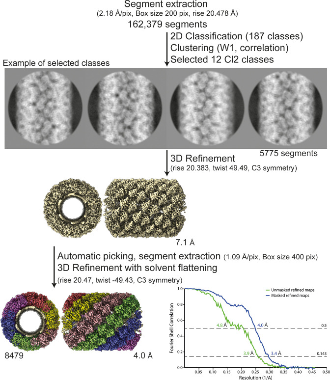 Figure 2—figure supplement 3.