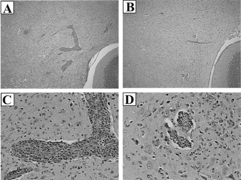 FIG. 6