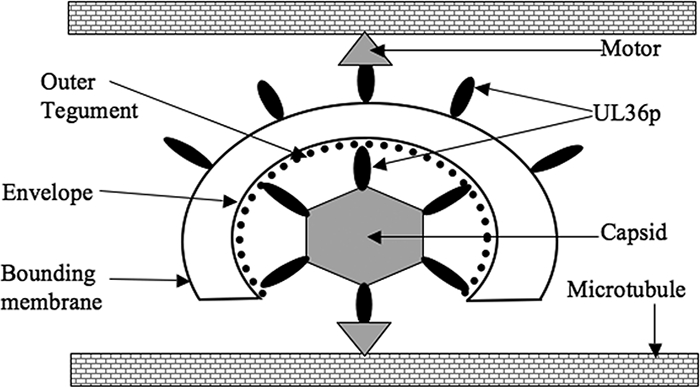 FIG. 7.