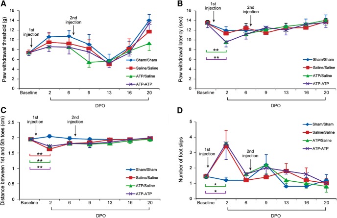 Figure 11.