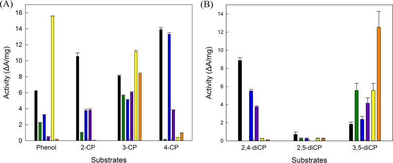 FIG 6