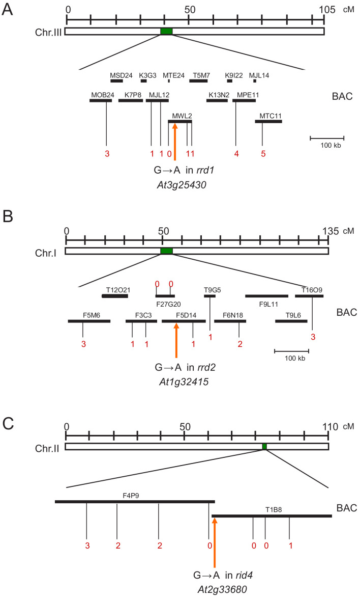 Figure 2—figure supplement 1.