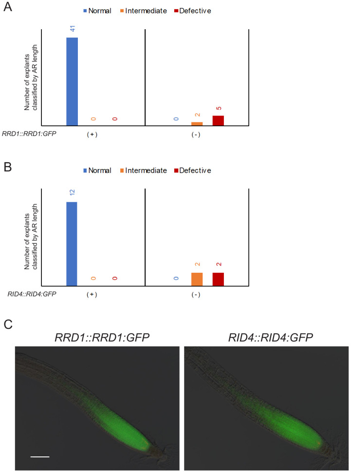 Figure 2—figure supplement 4.