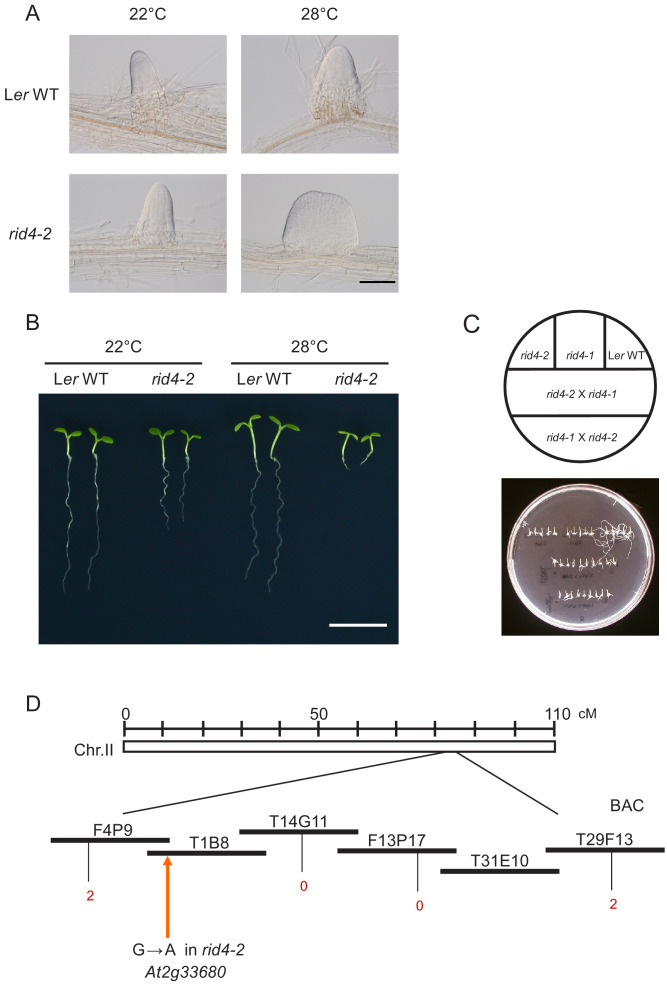 Figure 2—figure supplement 3.