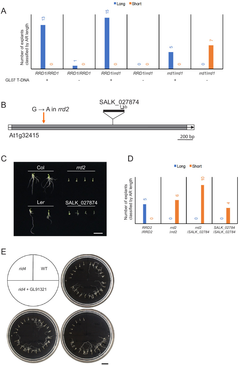 Figure 2—figure supplement 2.