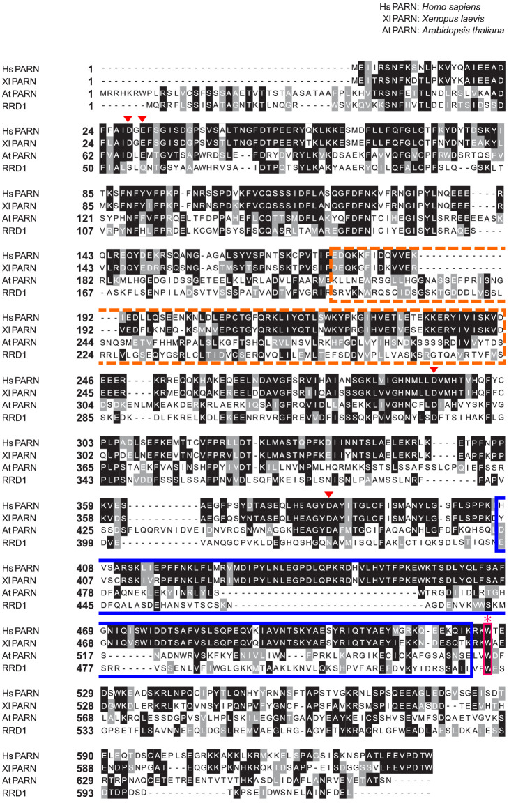 Figure 3—figure supplement 2.