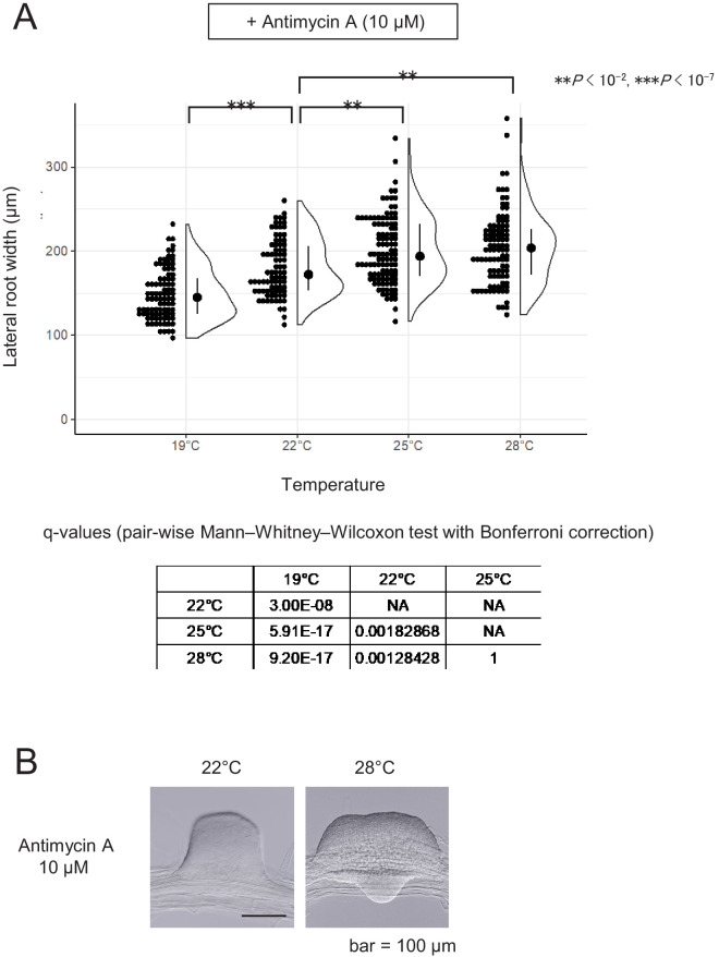 Figure 6—figure supplement 1.