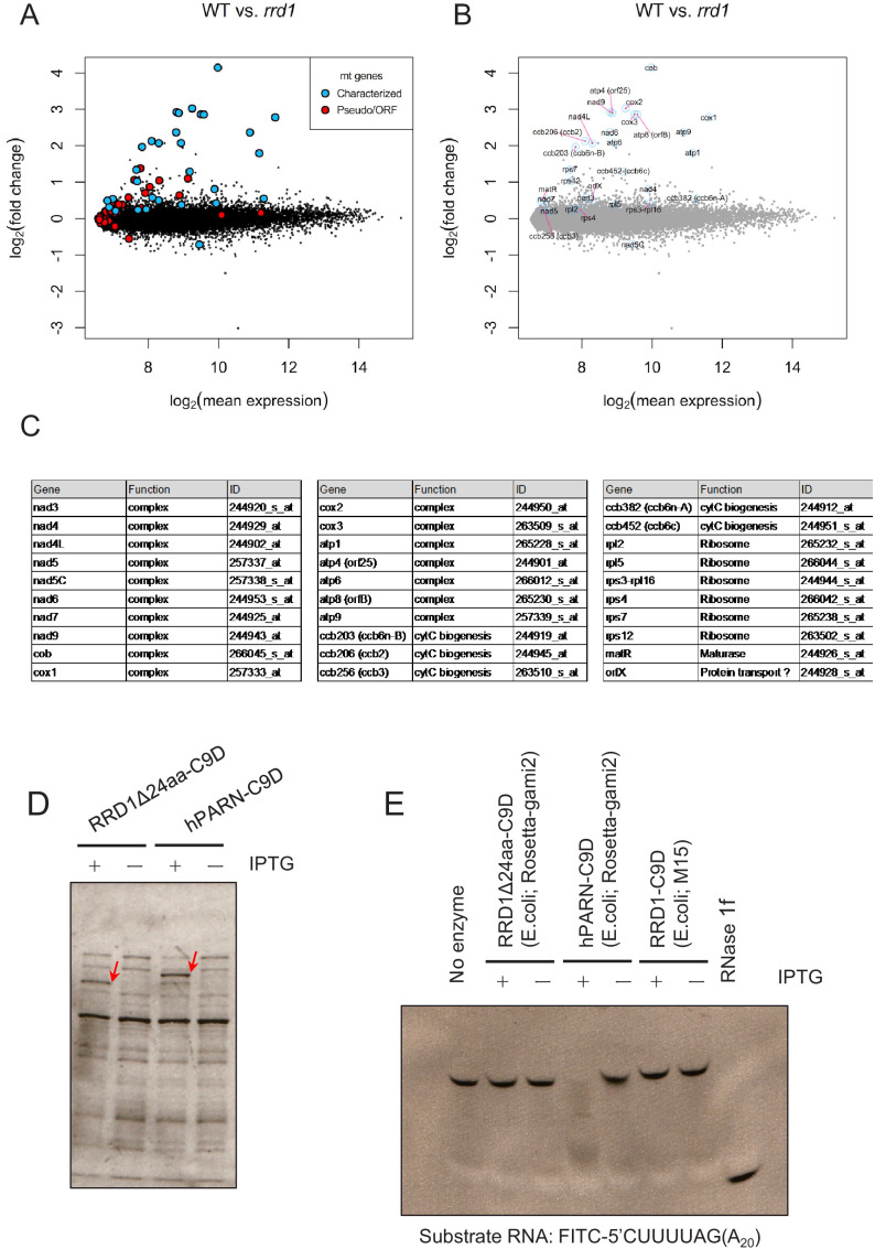 Figure 3—figure supplement 1.