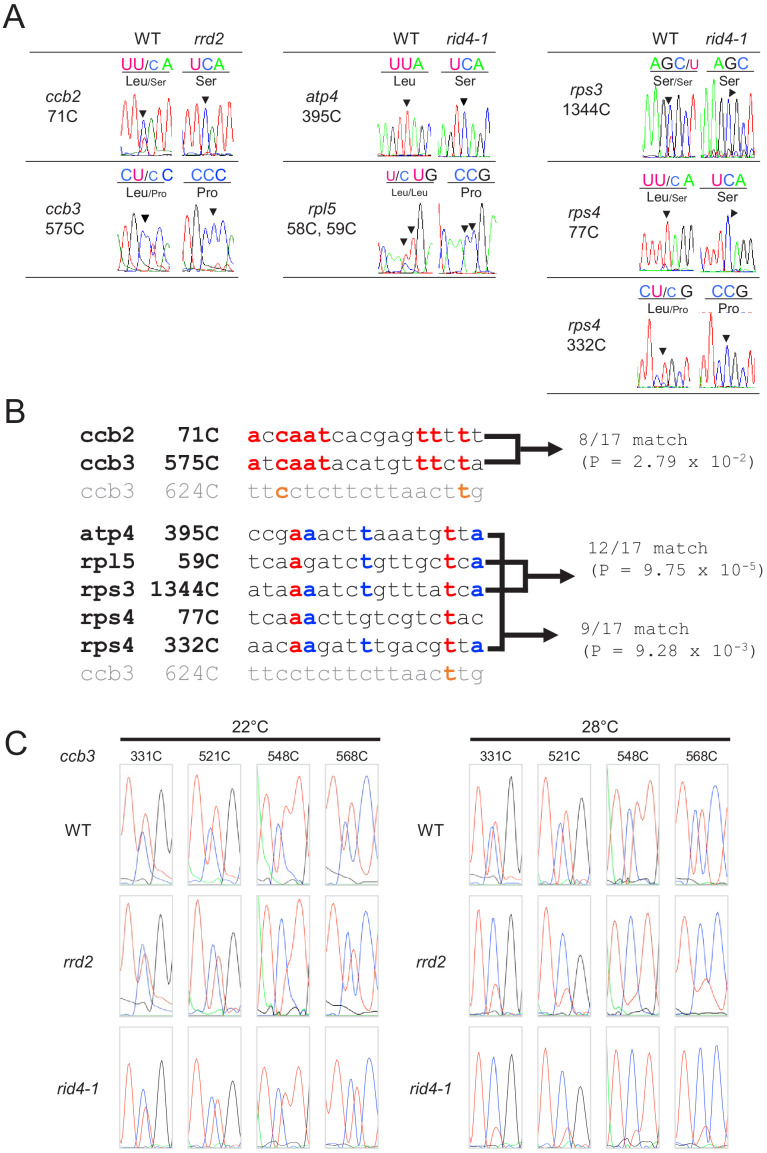 Figure 5—figure supplement 4.