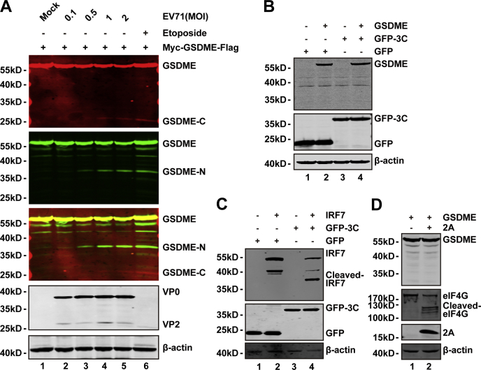 Figure 3