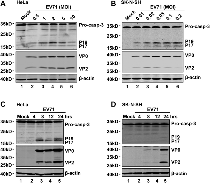 Figure 4