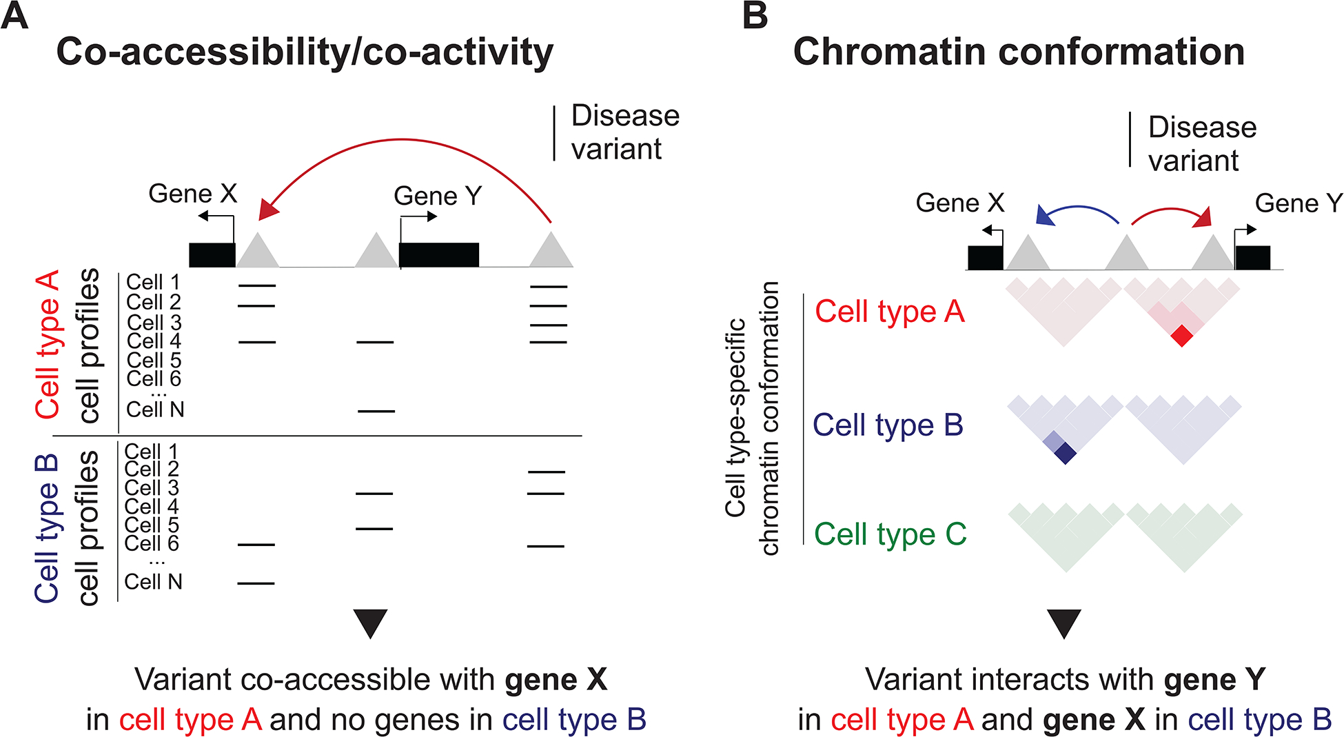 Figure 4: