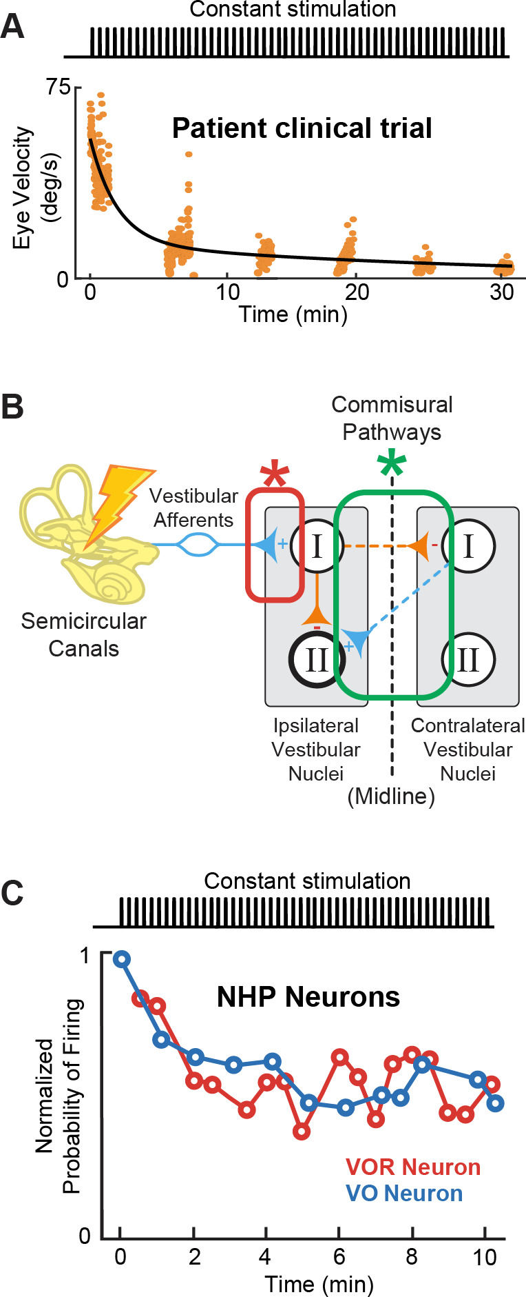 Figure 9.