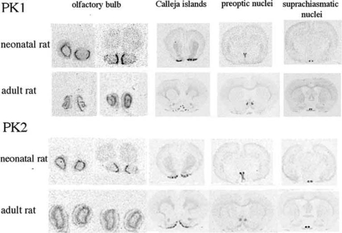 Fig. (1)