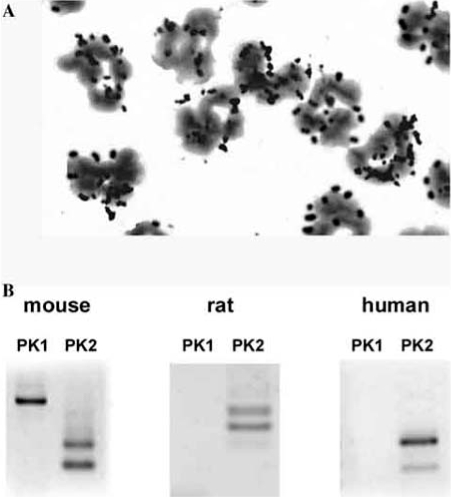 Fig. (2)