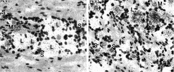 Fig. (6)