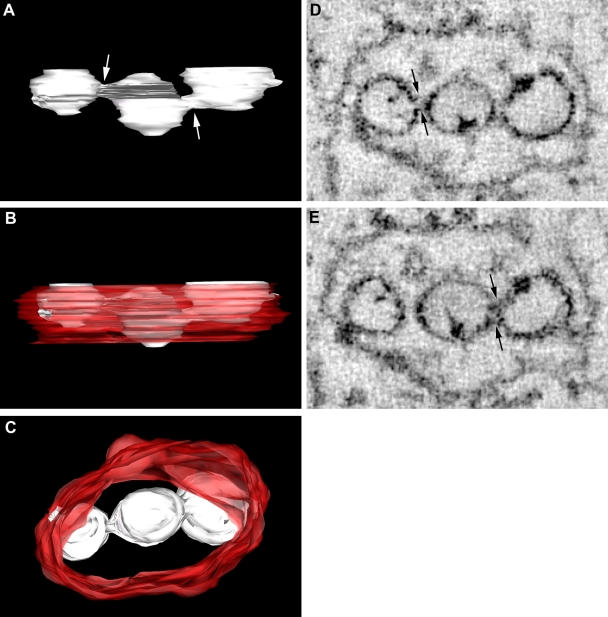 FIG. 4.