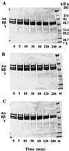 FIG. 6