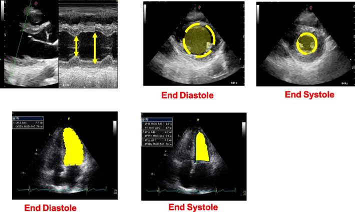 Fig. 4