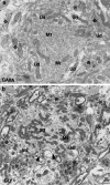 Fig. 10