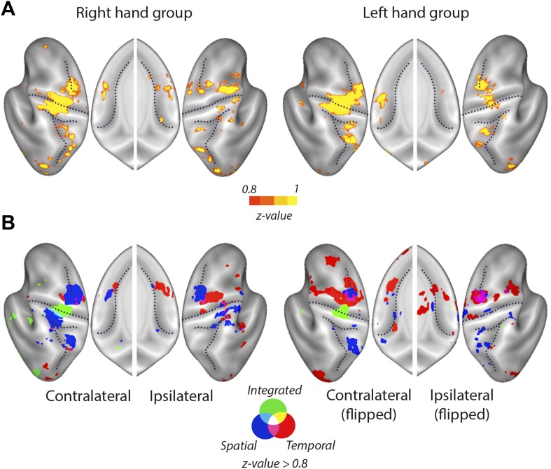 Figure 4—figure supplement 2.