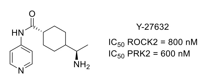 Figure 25