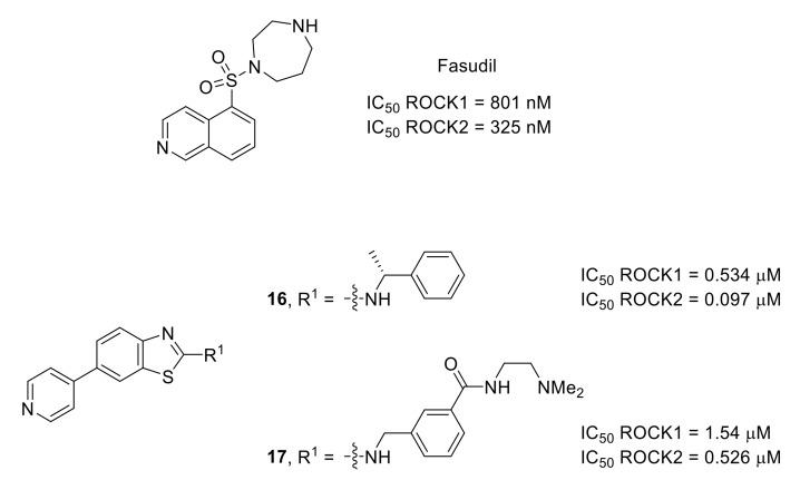 Figure 24