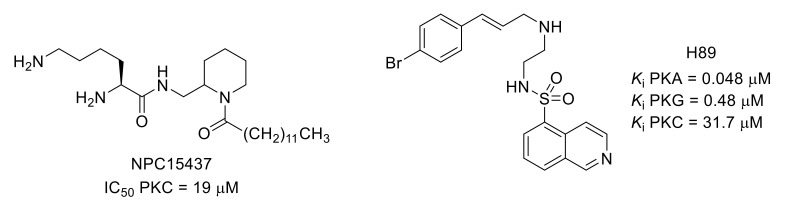 Figure 20