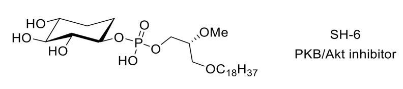 Figure 22