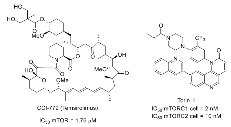 Figure 29