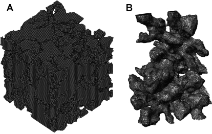 Fig. 9.