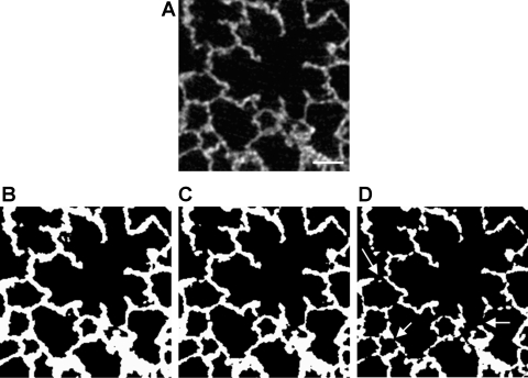 Fig. 6.